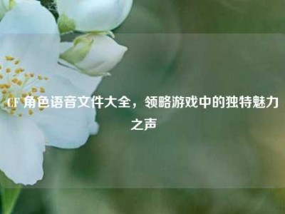 CF 角色语音文件大全，领略游戏中的独特魅力之声