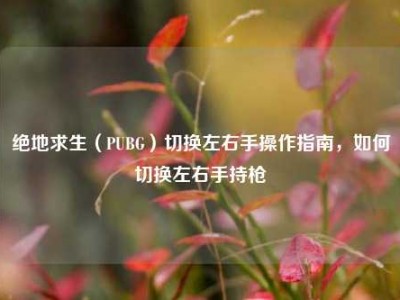 绝地求生（PUBG）切换左右手操作指南，如何切换左右手持枪