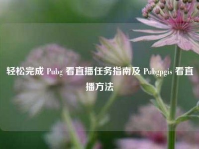 轻松完成 Pubg 看直播任务指南及 Pubgpgis 看直播方法
