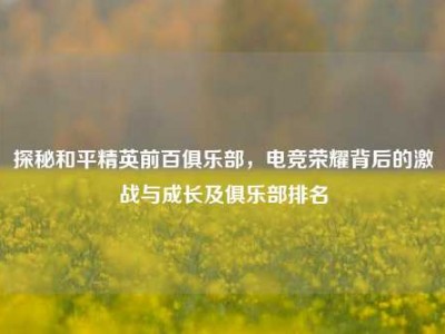 探秘和平精英前百俱乐部，电竞荣耀背后的激战与成长及俱乐部排名