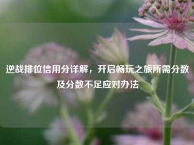 逆战排位信用分详解，开启畅玩之旅所需分数及分数不足应对办法