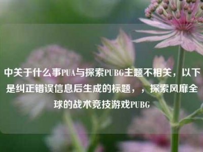 中关于什么事PUA与探索PUBG主题不相关，以下是纠正错误信息后生成的标题，，探索风靡全球的战术竞技游戏PUBG