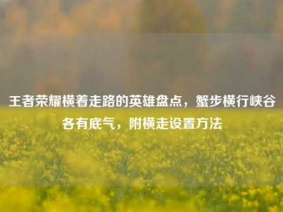 王者荣耀横着走路的英雄盘点，蟹步横行峡谷各有底气，附横走设置方法