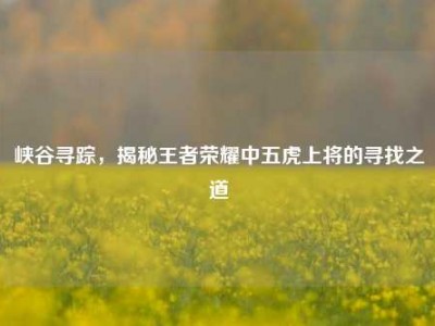 峡谷寻踪，揭秘王者荣耀中五虎上将的寻找之道