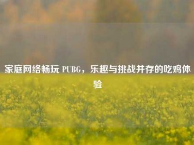 家庭网络畅玩 PUBG，乐趣与挑战并存的吃鸡体验