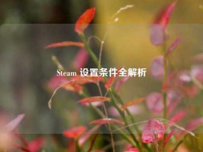 Steam 设置条件全解析