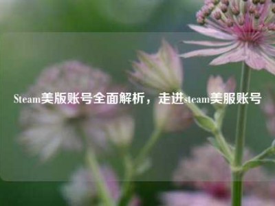 Steam美版账号全面解析，走进steam美服账号
