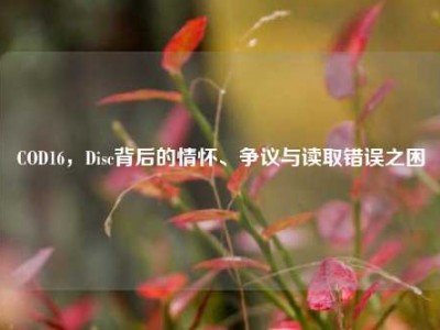 COD16，Disc背后的情怀、争议与读取错误之困