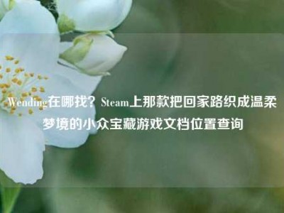 Wending在哪找？Steam上那款把回家路织成温柔梦境的小众宝藏游戏文档位置查询