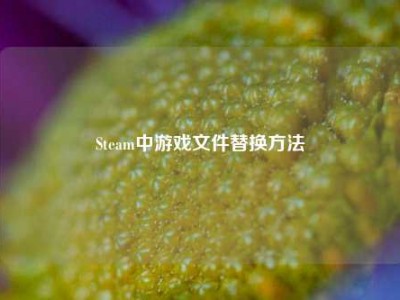 Steam中游戏文件替换方法