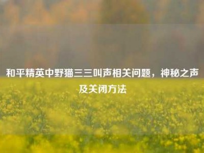 和平精英中野猫三三叫声相关问题，神秘之声及关闭方法