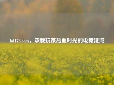 lol178.com，承载玩家热血时光的电竞港湾