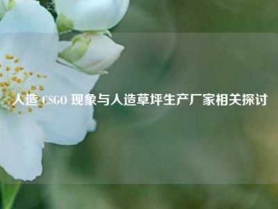 人造 CSGO 现象与人造草坪生产厂家相关探讨