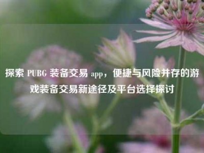 探索 PUBG 装备交易 app，便捷与风险并存的游戏装备交易新途径及平台选择探讨