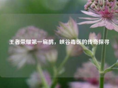 王者荣耀第一扁鹊，峡谷毒医的传奇探寻