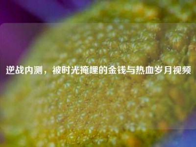 逆战内测，被时光掩埋的金钱与热血岁月视频