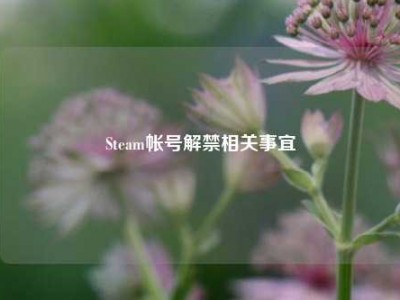 Steam帐号解禁相关事宜