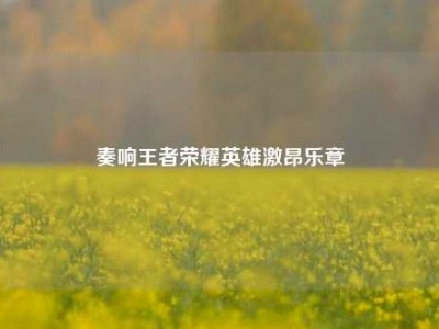 奏响王者荣耀英雄激昂乐章