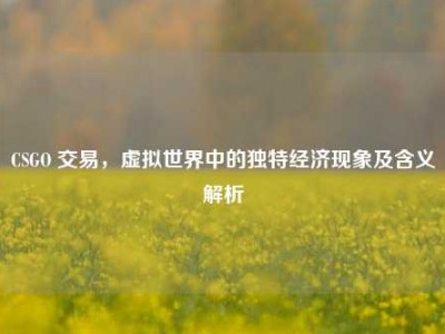 CSGO 交易，虚拟世界中的独特经济现象及含义解析