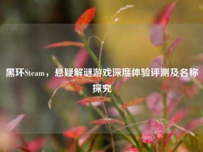 黑环Steam，悬疑解谜游戏深度体验评测及名称探究