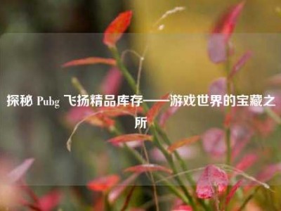 探秘 Pubg 飞扬精品库存——游戏世界的宝藏之所