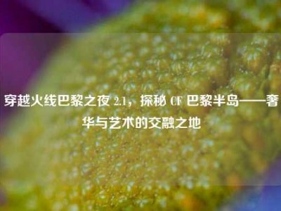 穿越火线巴黎之夜 2.1，探秘 CF 巴黎半岛——奢华与艺术的交融之地