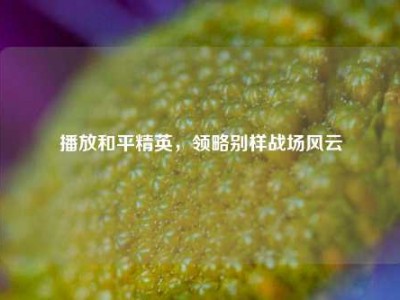 播放和平精英，领略别样战场风云