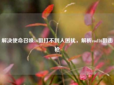 解决使命召唤16狙打不到人困扰，解析cod16狙击枪