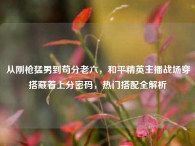 从刚枪猛男到苟分老六，和平精英主播战场穿搭藏着上分密码，热门搭配全解析