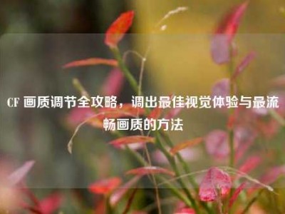 CF 画质调节全攻略，调出最佳视觉体验与最流畅画质的方法