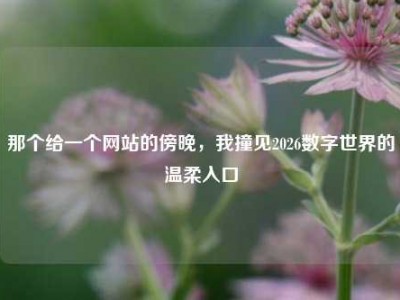 那个给一个网站的傍晚，我撞见2026数字世界的温柔入口
