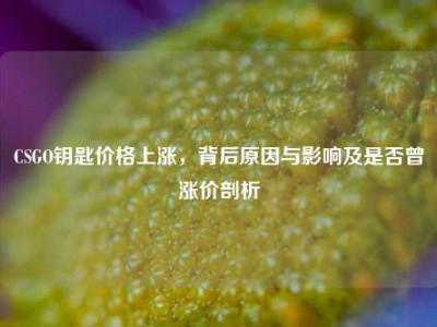 CSGO钥匙价格上涨，背后原因与影响及是否曾涨价剖析