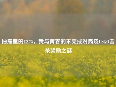 抽屉里的CZ75，我与青春的未完成对局及CSGO击杀奖励之谜
