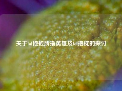 关于lol抱抱所指英雄及lol抱枕的探讨