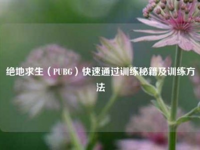 绝地求生（PUBG）快速通过训练秘籍及训练方法