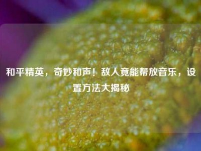 和平精英，奇妙和声！敌人竟能帮放音乐，设置方法大揭秘