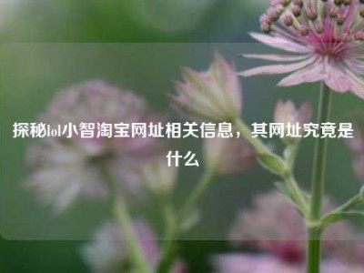 探秘lol小智淘宝网址相关信息，其网址究竟是什么