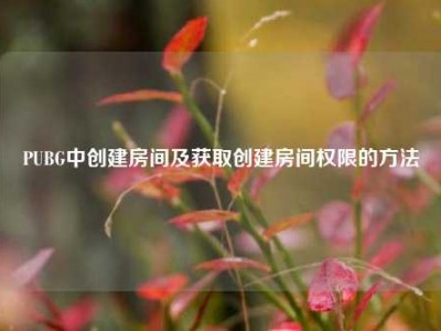 PUBG中创建房间及获取创建房间权限的方法