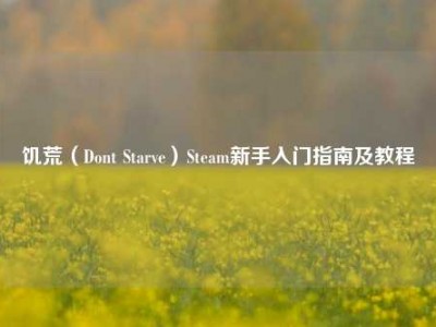 饥荒（Dont Starve）Steam新手入门指南及教程