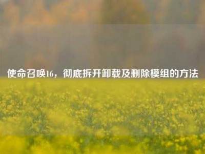 使命召唤16，彻底拆开卸载及删除模组的方法