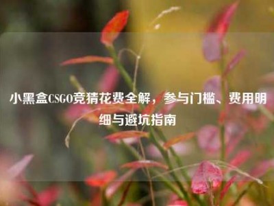 小黑盒CSGO竞猜花费全解，参与门槛、费用明细与避坑指南