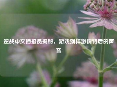 逆战中文播报员揭秘，游戏别样激情背后的声音