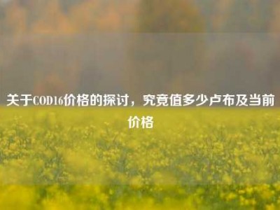 关于COD16价格的探讨，究竟值多少卢布及当前价格