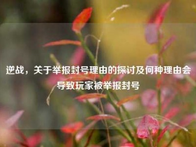 逆战，关于举报封号理由的探讨及何种理由会导致玩家被举报封号