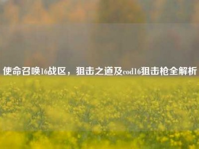 使命召唤16战区，狙击之道及cod16狙击枪全解析