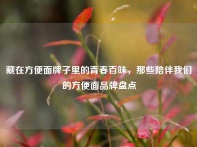 藏在方便面牌子里的青春百味，那些陪伴我们的方便面品牌盘点