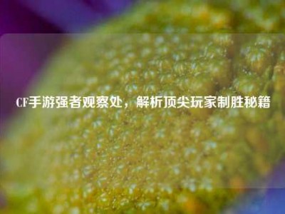 CF手游强者观察处，解析顶尖玩家制胜秘籍