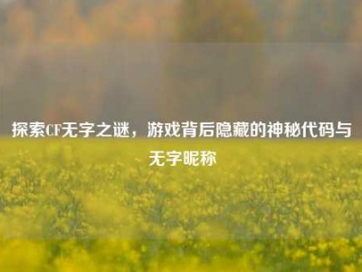 探索CF无字之谜，游戏背后隐藏的神秘代码与无字昵称