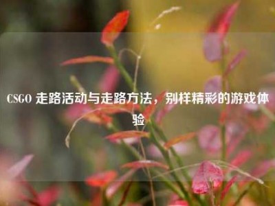 CSGO 走路活动与走路方法，别样精彩的游戏体验