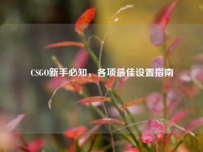 CSGO新手必知，各项最佳设置指南